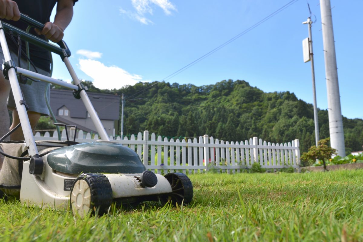 芝生を手入れする人必見！管理に必要な道具の種類と選び方