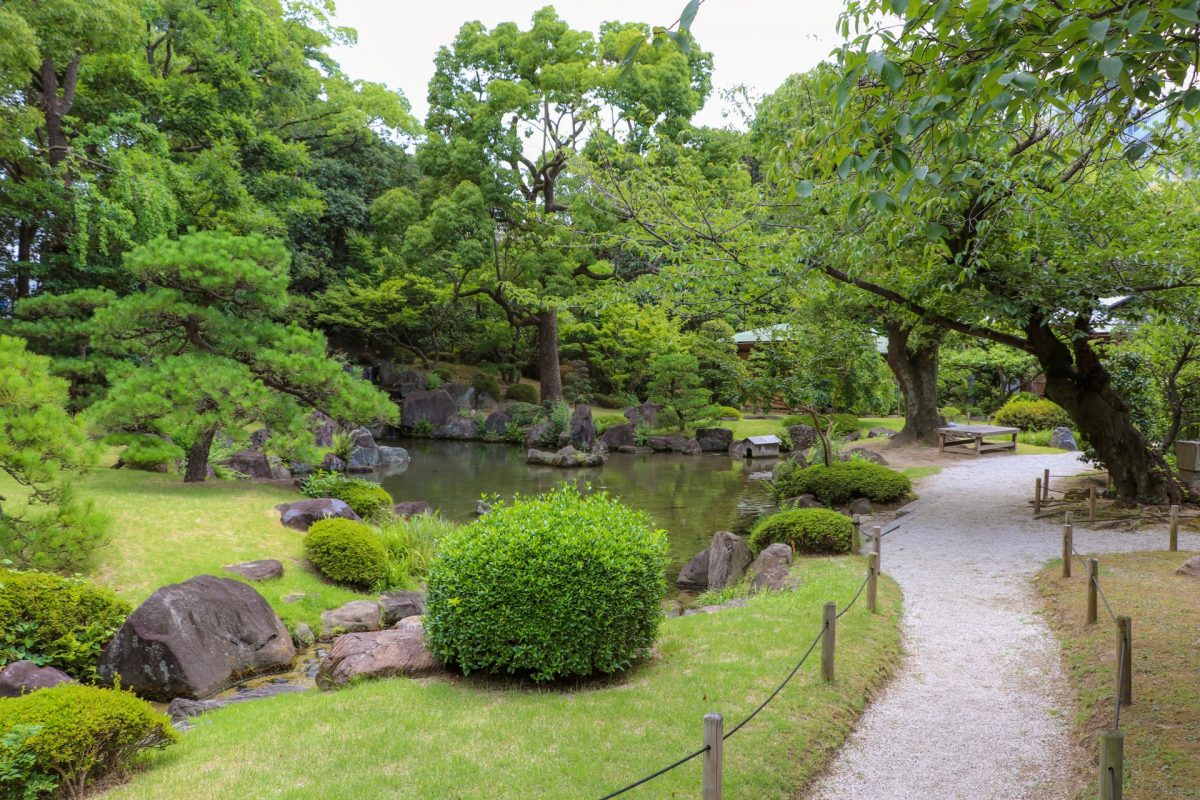 まずはここから！初心者にもおすすめな日本芝あれこれをご紹介