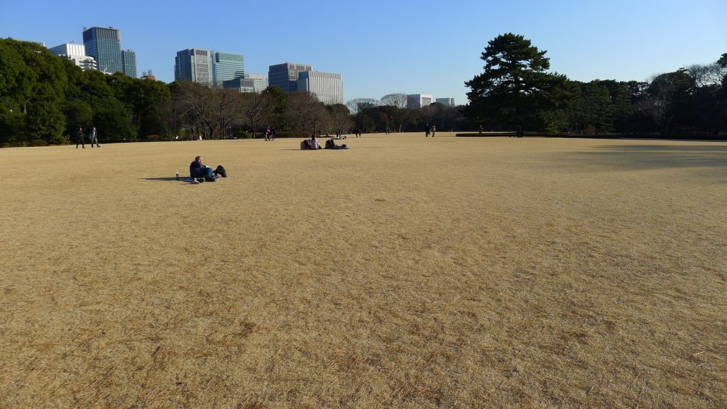芝生を手入れする人必見 暖地型芝生の冬季 12月 2月 の作業ポイントと注意点 芝生のことなら しばふる