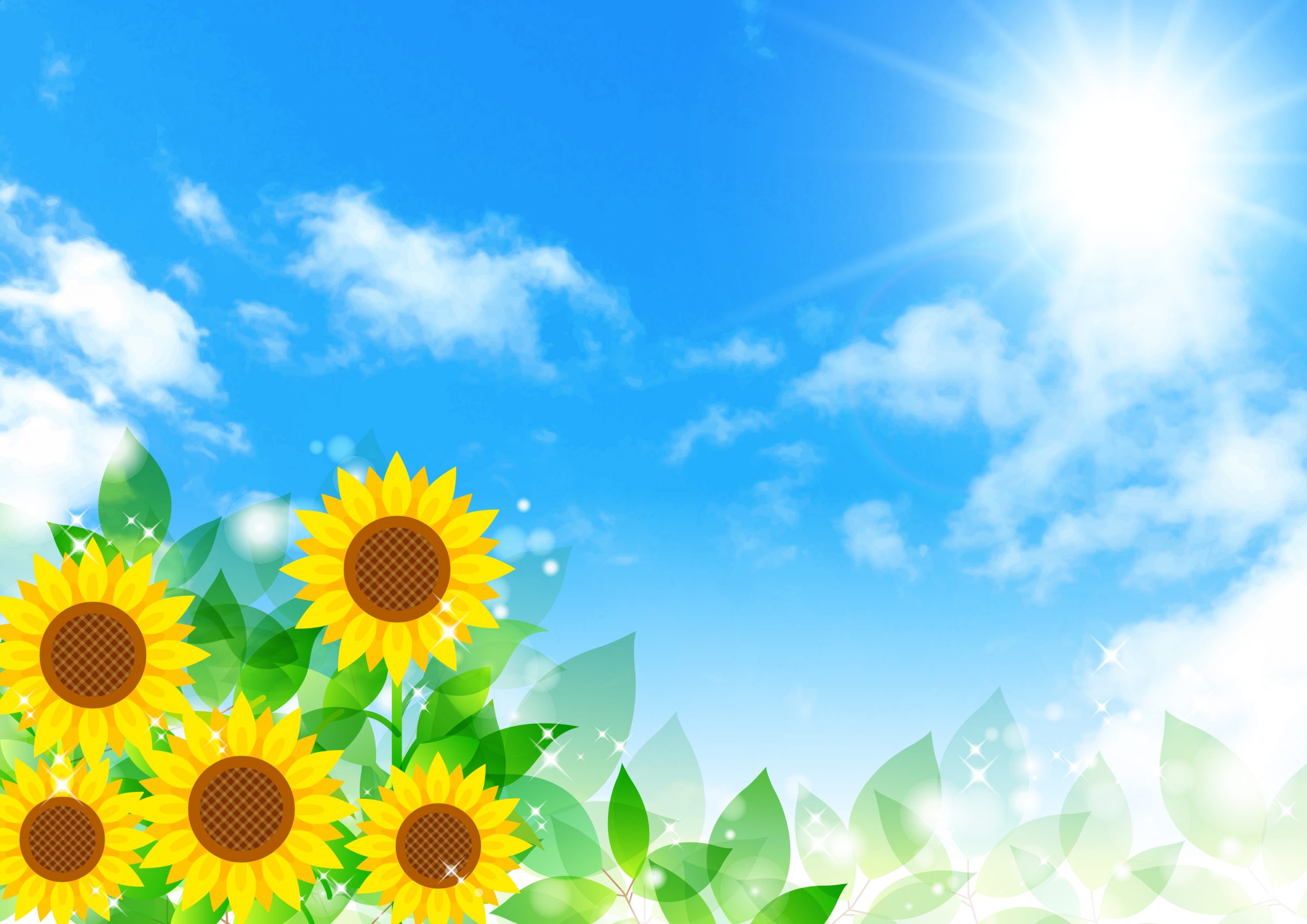 芝生を手入れする人必見 暖地型芝生の夏季 6月 8月 の作業ポイントと注意点 芝生のことなら しばふる