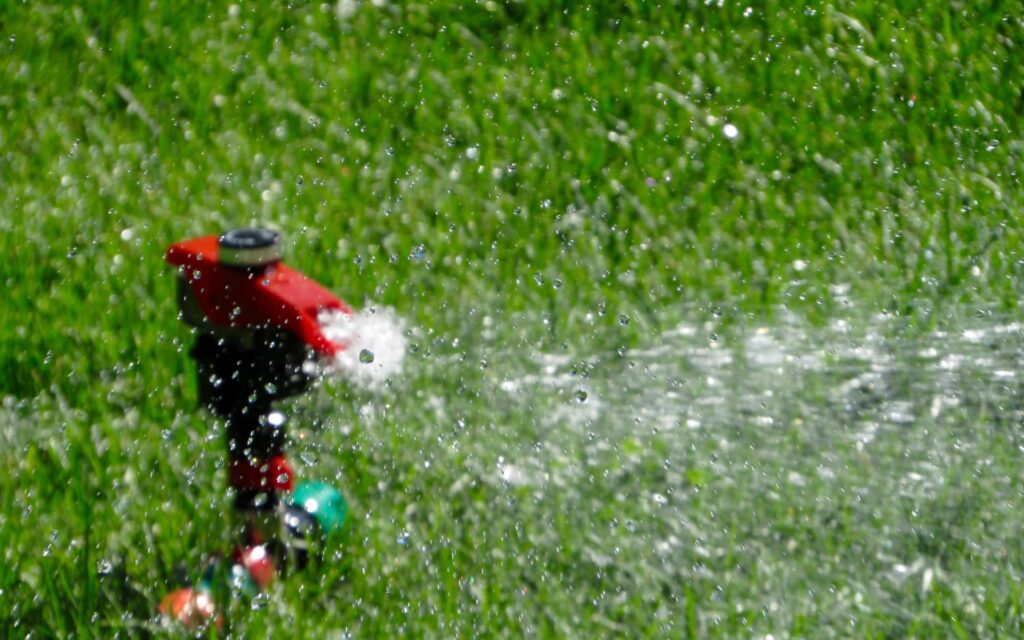 芝生の水やり・散水のコツを解説！元気に育てるために重要なポイント