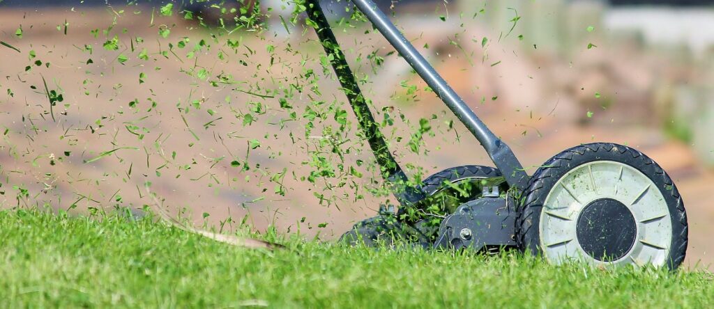 芝刈りはシンプルで効果絶大！ポイントを押さえて綺麗な芝生をキープしよう