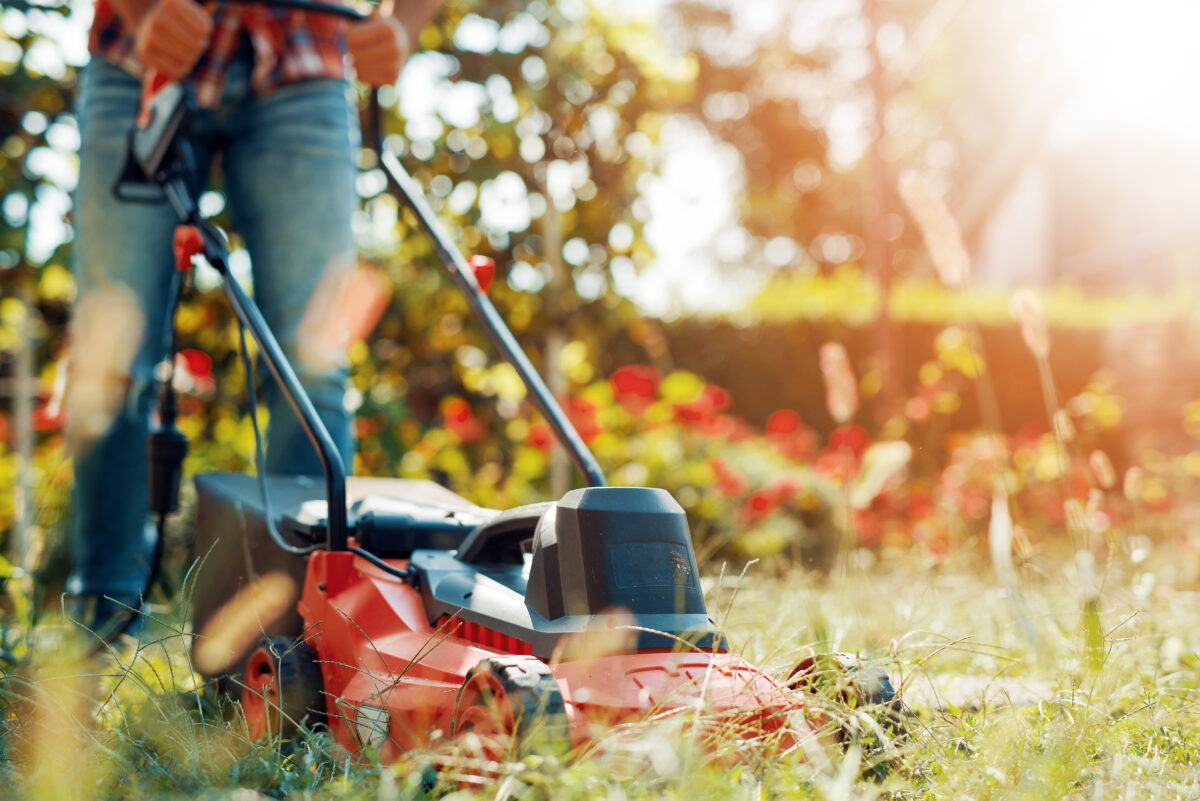 現在販売中の電動・ロボット芝刈り機6選｜家庭の芝生から広範囲まで | 芝生のことなら「しばふる」
