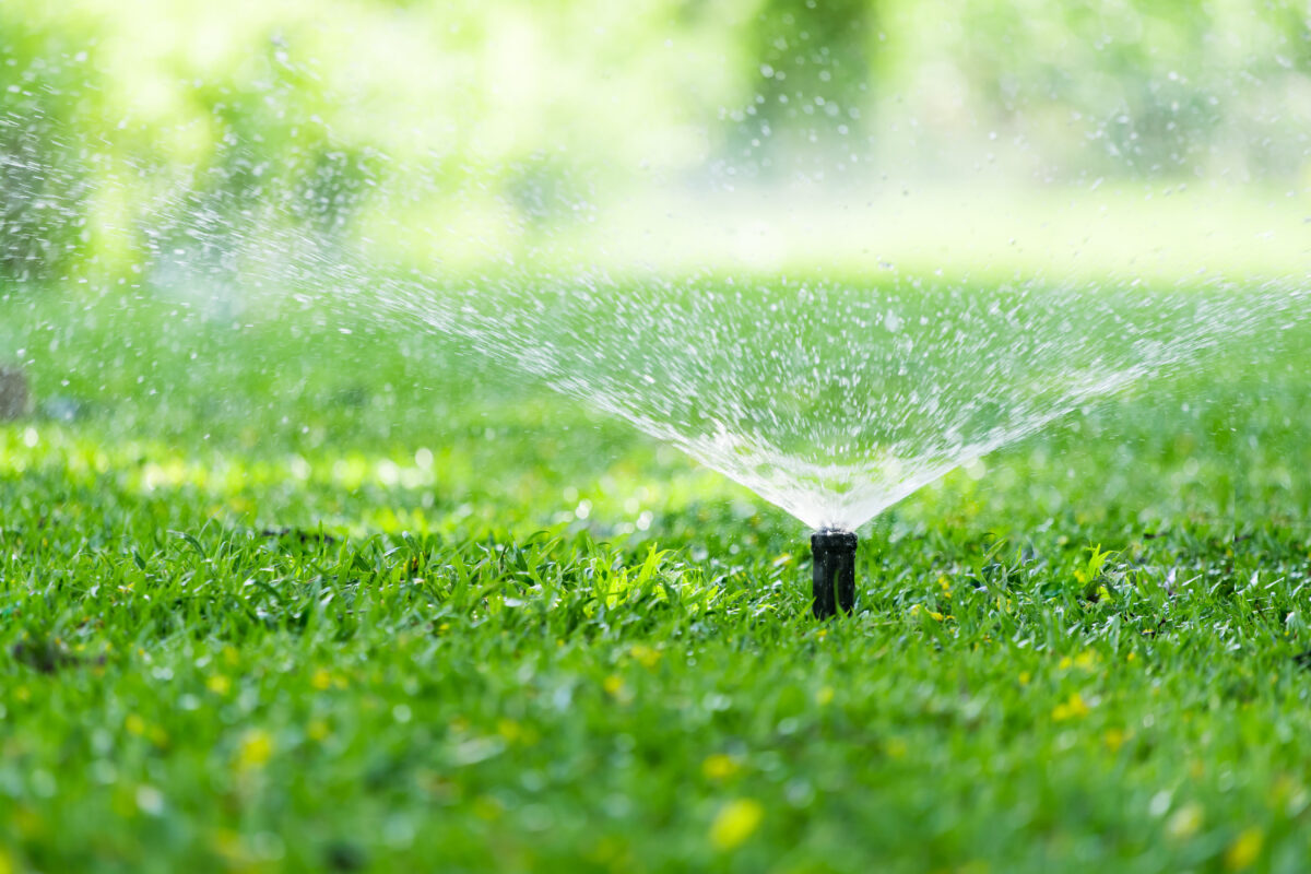 水はけや通気性のよい土壌作りをするには？改良剤の必要性・効果と材料を解説